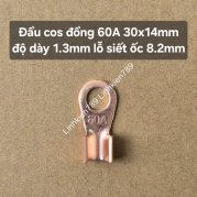 Cốt đồng 60A bộ 1 cái
